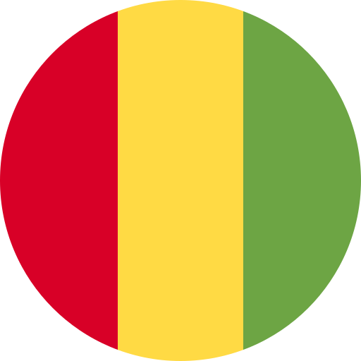 Flag Of Guinea