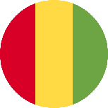 علم دولة غينيا (  )