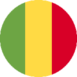 علم دولة مالي (  )