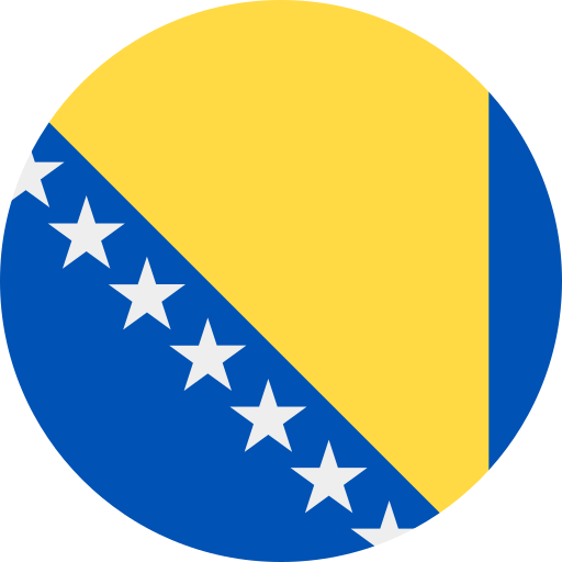 علم دولة البوسنة و الهرسك (  )