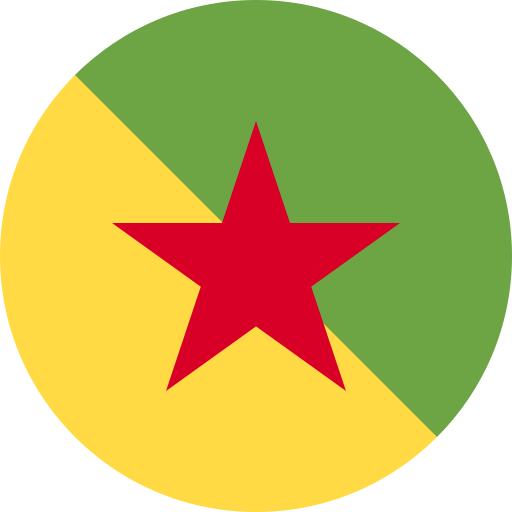 علم دولة غينيا الفرنسية (  )