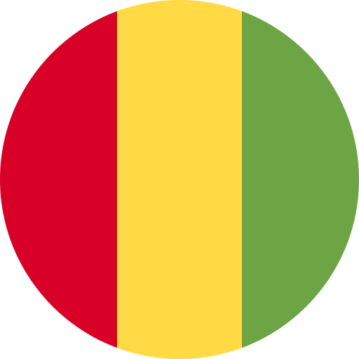 علم دولة غينيا (  )