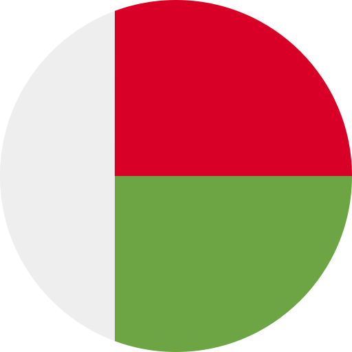 علم دولة مدغشقر (  )