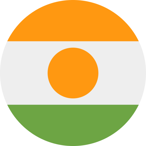 علم دولة النيجر (  )