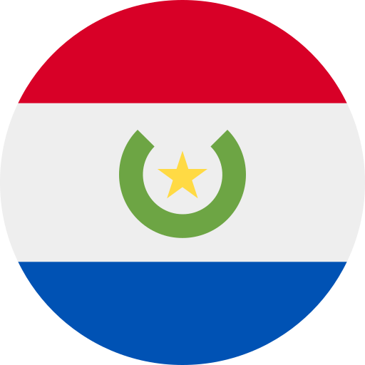 علم دولة باراغواي (  )